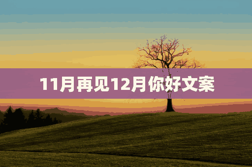 11月再见12月你好文案(11月再见12月你好文案正能量说说)